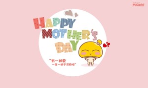 山東稅務2025年基礎環境運行保障服務項目（2包：數據中心機房值守及基礎平臺技術支持服務）中標公告