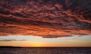 貝特佳羊奶粉價(jià)格為何如此親民？